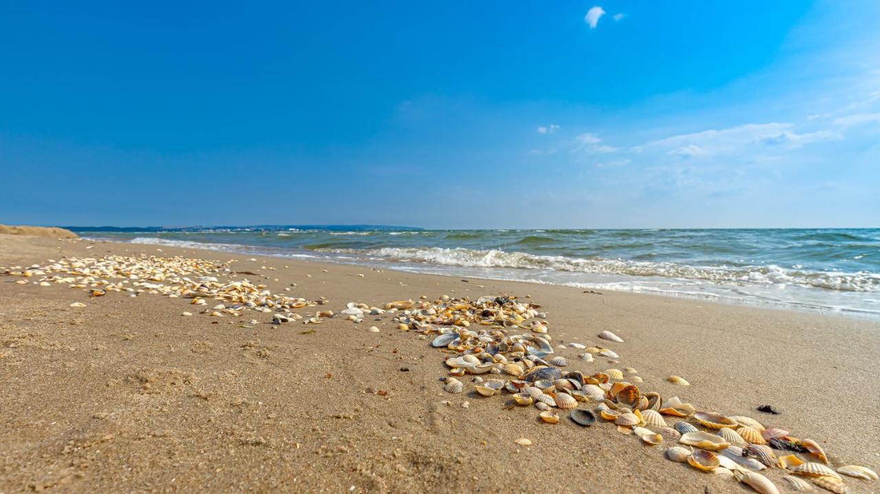 Strandurlaub Rügen Lütt Matten Apartment Ostseebad Binz
